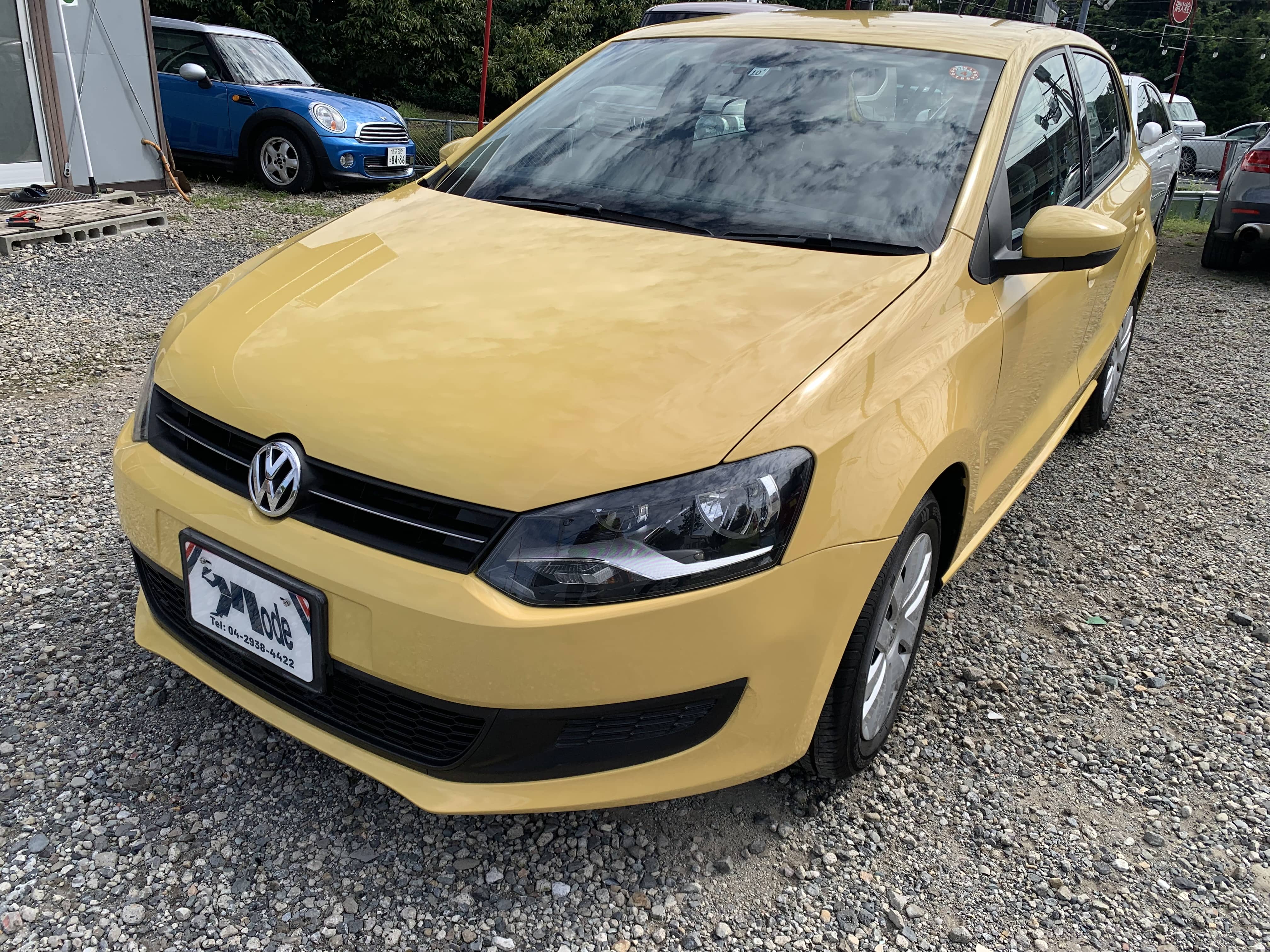 polo