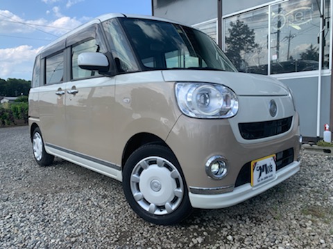 Move Canbus  X-Ltd.Maikup SA3, 2018 model,  with power Sliding doors etc.