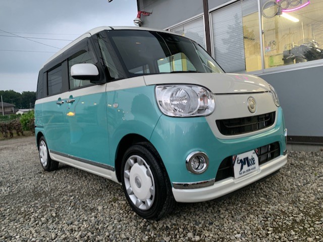 Move Canbus  X-Ltd.Maikup SA3, 2018 model,  with power Sliding doors etc.