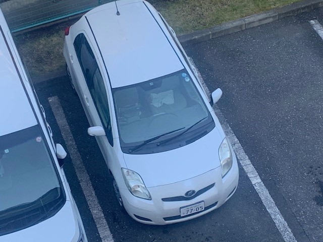 Vitz Vitz